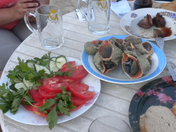 odessa_2011