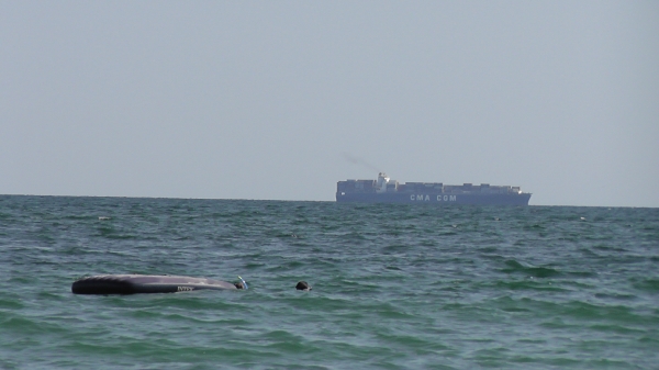 Odessa_2011