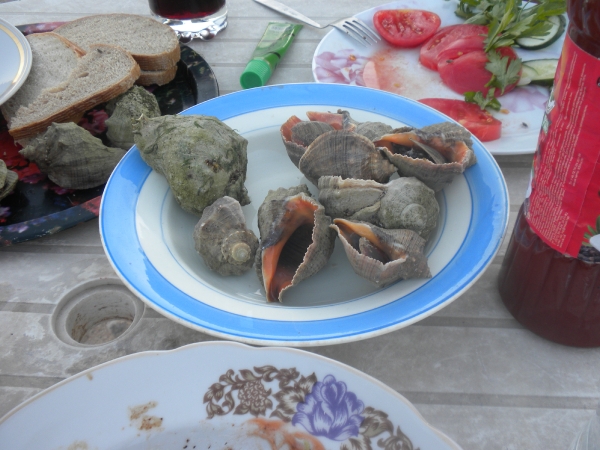 Odessa 2011