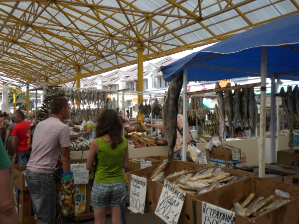 Odessa 2011