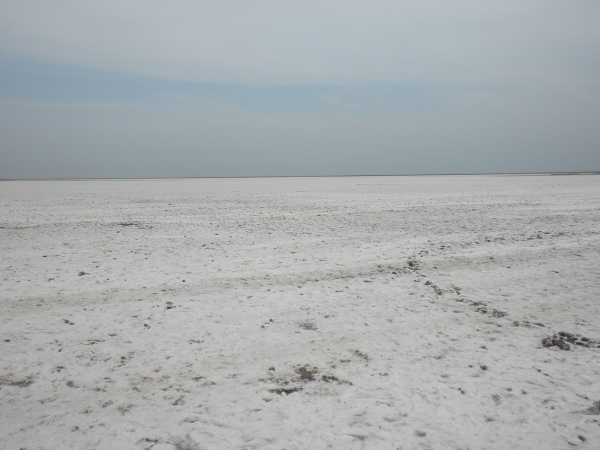 Odessa 2011