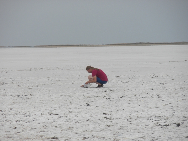 Odessa 2011