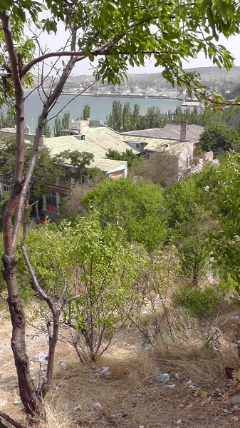 Odessa 2011