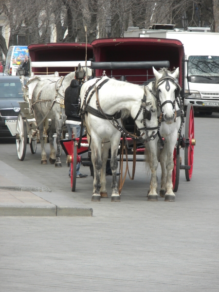 odessa_2012