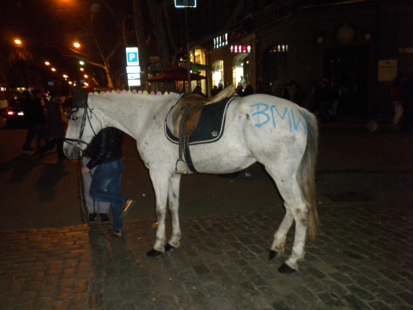 odessa_2012