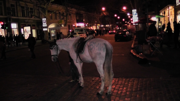 odessa_2012
