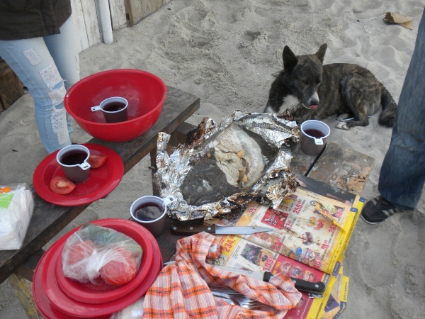 odessa_2012